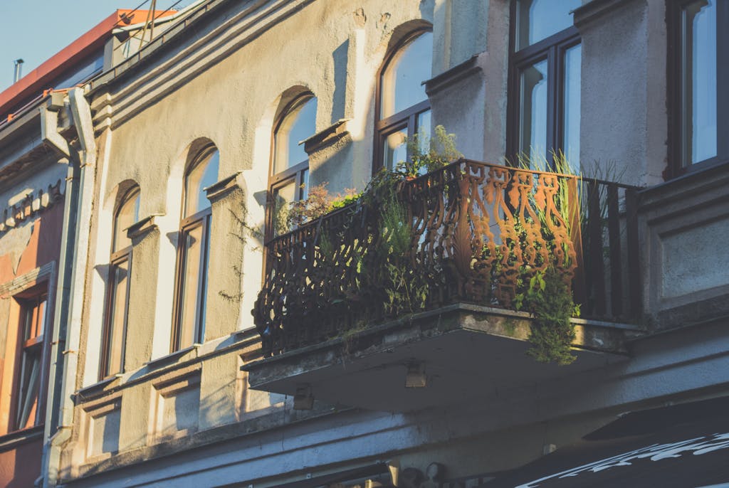 Întrebări și răspunsuri 3 brown concrete mansion 297382 Ce plante alegem pentru decorul teraselor și balcoanelor?