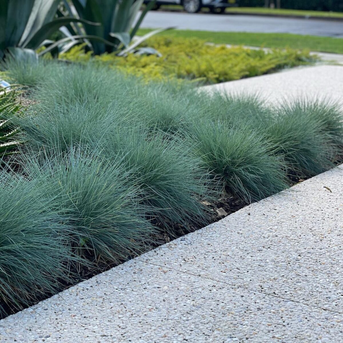 exotic nurseries 20240224 0002 exotic nurseries 20240224 0002