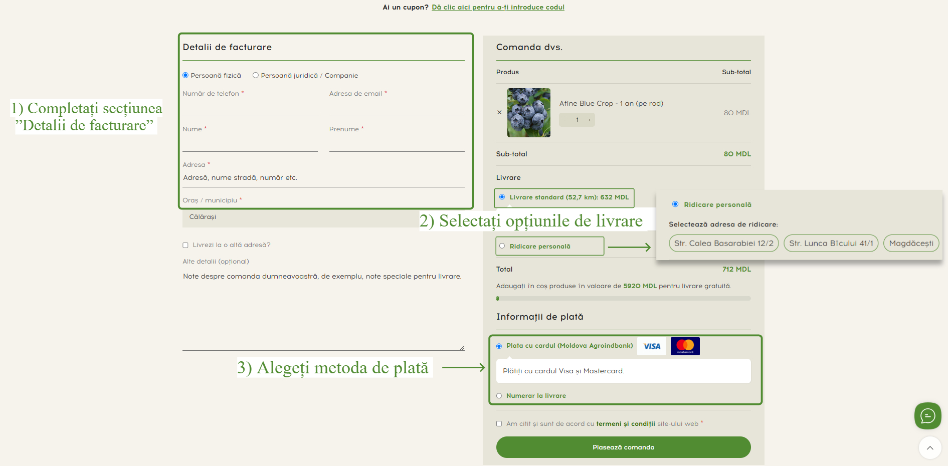 finalizare comanda 2 fotor 202404241656 finalizare comanda 2 fotor 202404241656