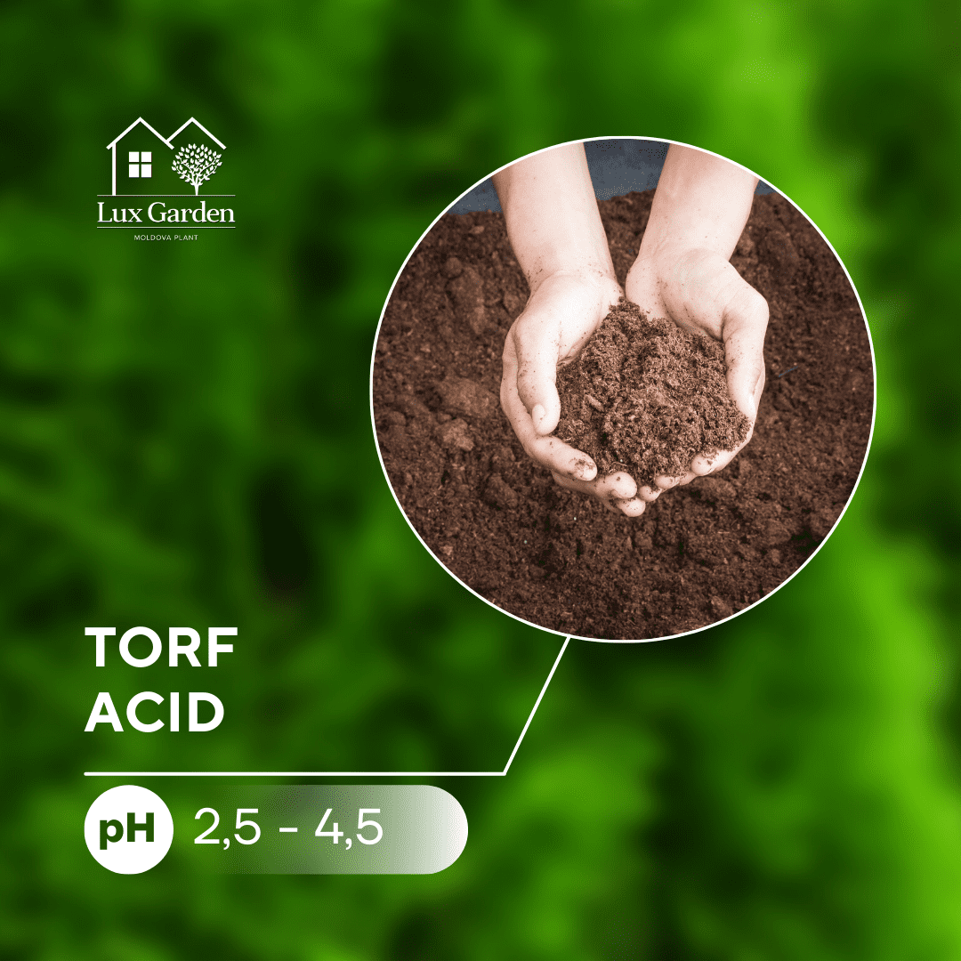 Torf acid - 250 litri