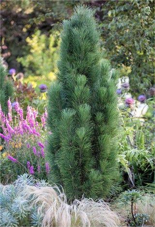 Pin negru Green Tower - imagine 2