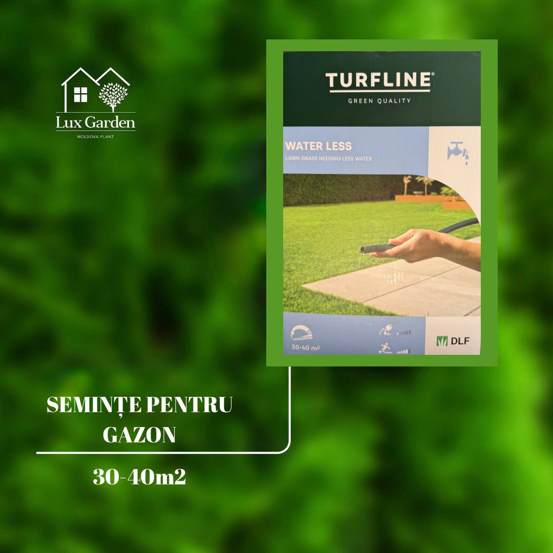 Semințe pentru gazon Water Less