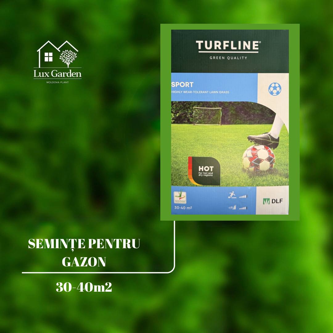 Semințe pentru gazon Sport