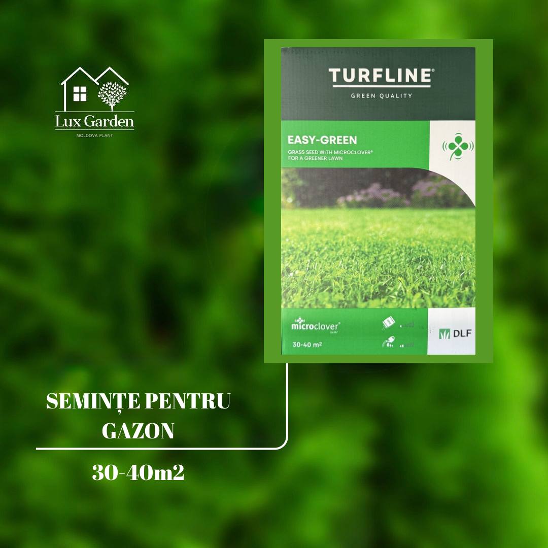 Semințe pentru gazon Easy-Green