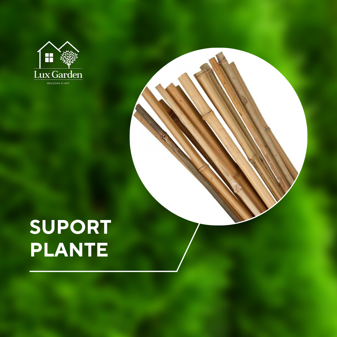 Suport pentru plante din bambus