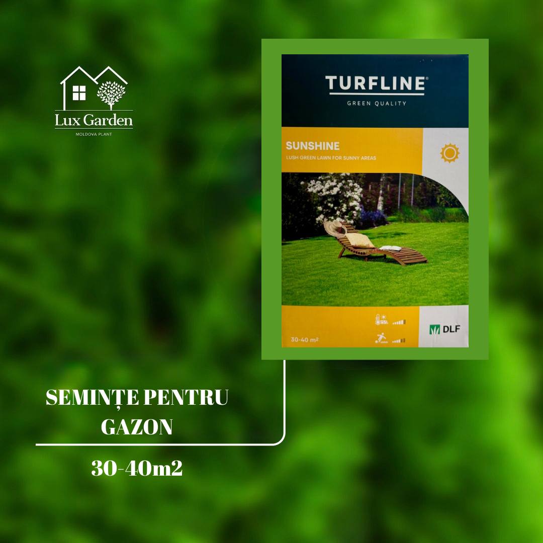 Semințe pentru gazon Sunshine